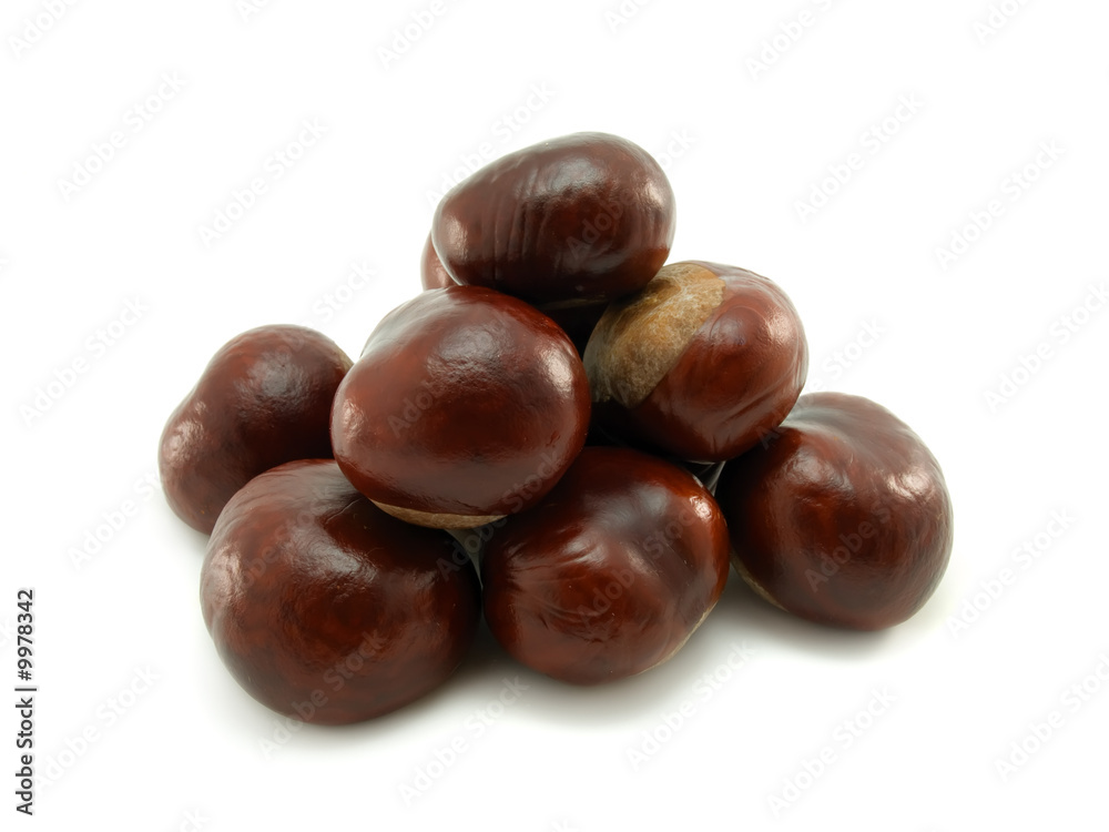 Chestnuts isolated on a white background Chestnuts isolated on a white background