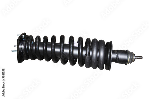 vehicle strut