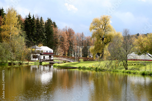 Beautiful lake with bridge in the autumn park