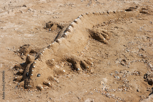 Figure of lizard making by children from sand on sea coast