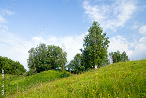 landscape with trees grass and blue sky