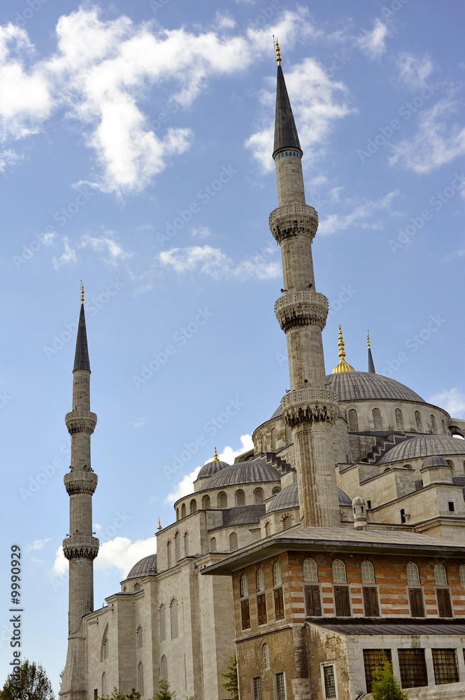 The bleu mosque , Istanbul