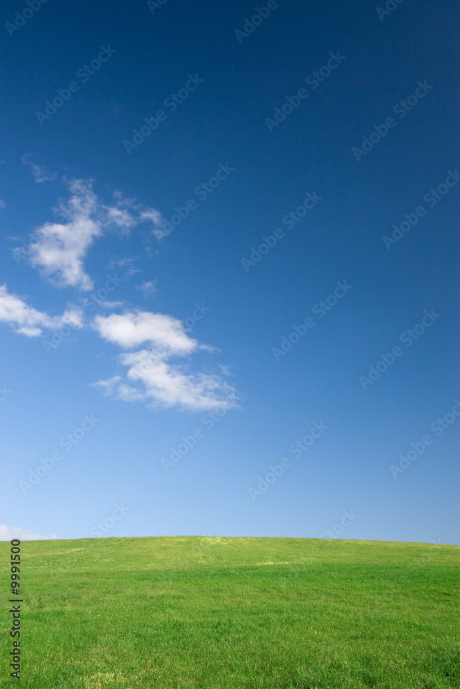 Empty green meadow and blue sky with few clouds