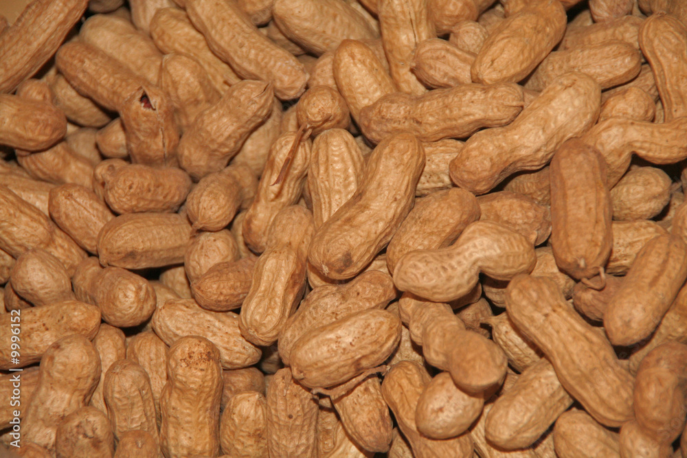 peanut peanut