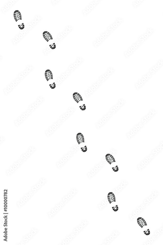 a lot of black traces over white