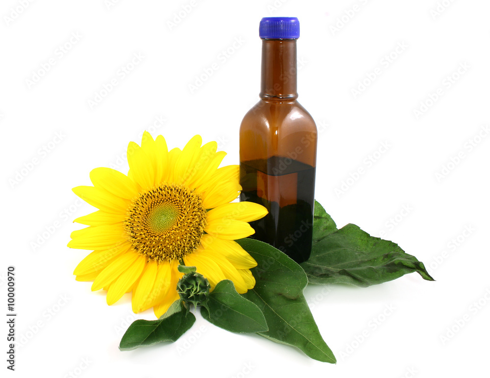 sunflower with bottle isolated on white sunflower with bottle isolated on white