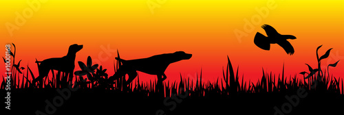 Hunting dogs with bird over sunset