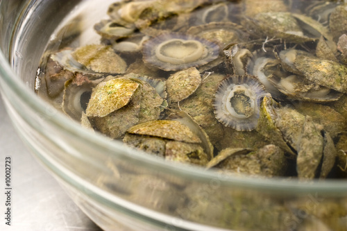 patelle di mare