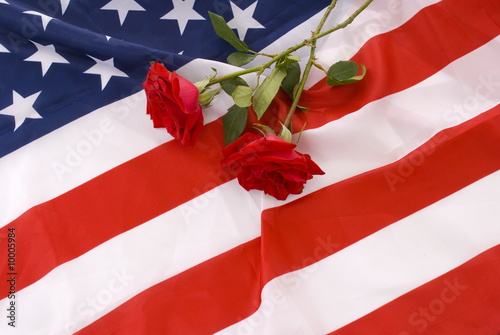 Two crossed red roses in the flag of United States.