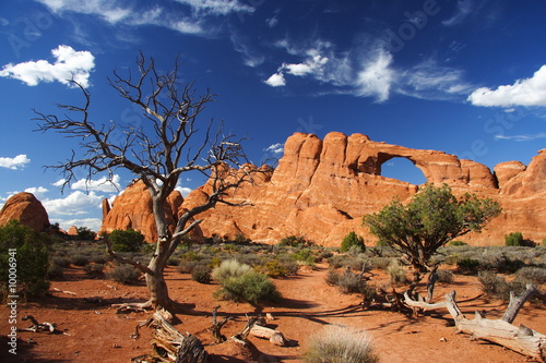 Skyline Arch and Dead Trees, Arches National Park