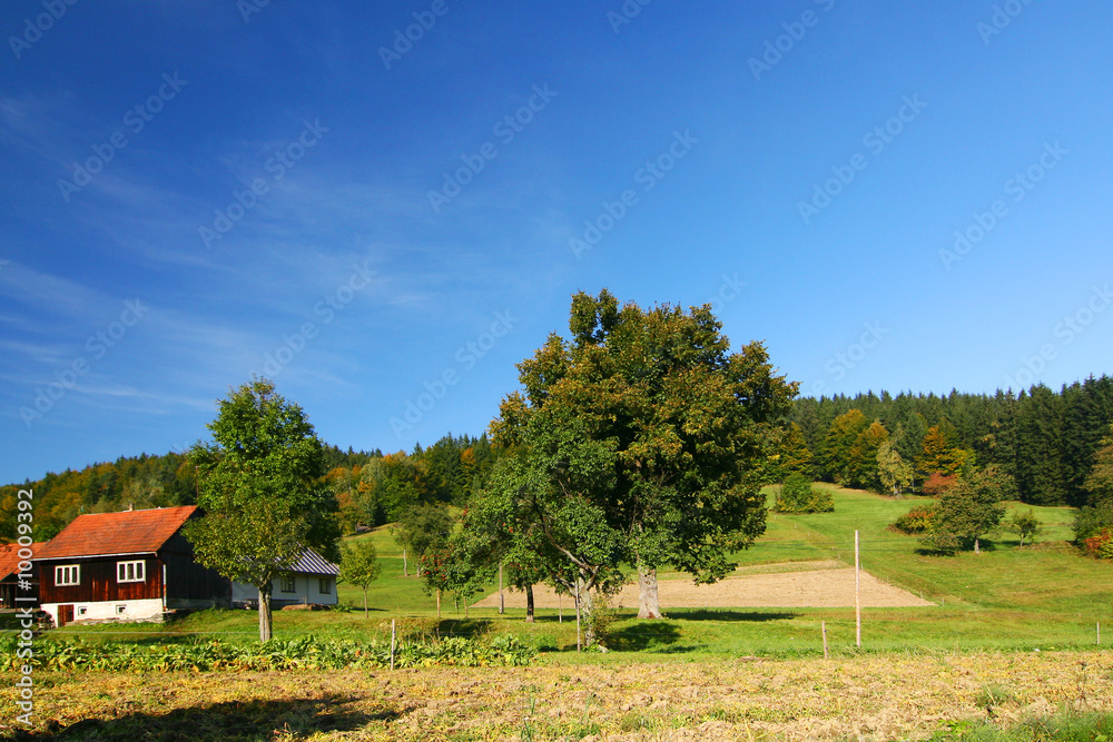 Little old village in summer countryside Little old village in summer countryside