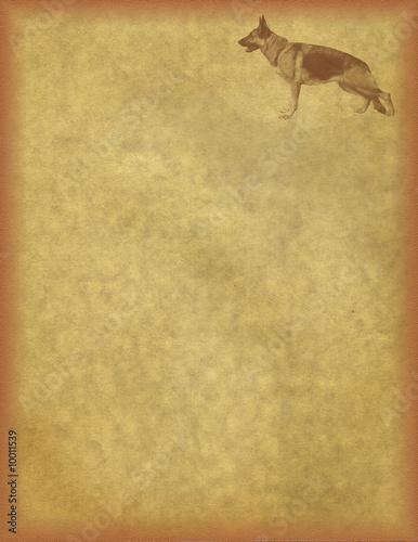 Leaf of an old post paper with German shepherd.