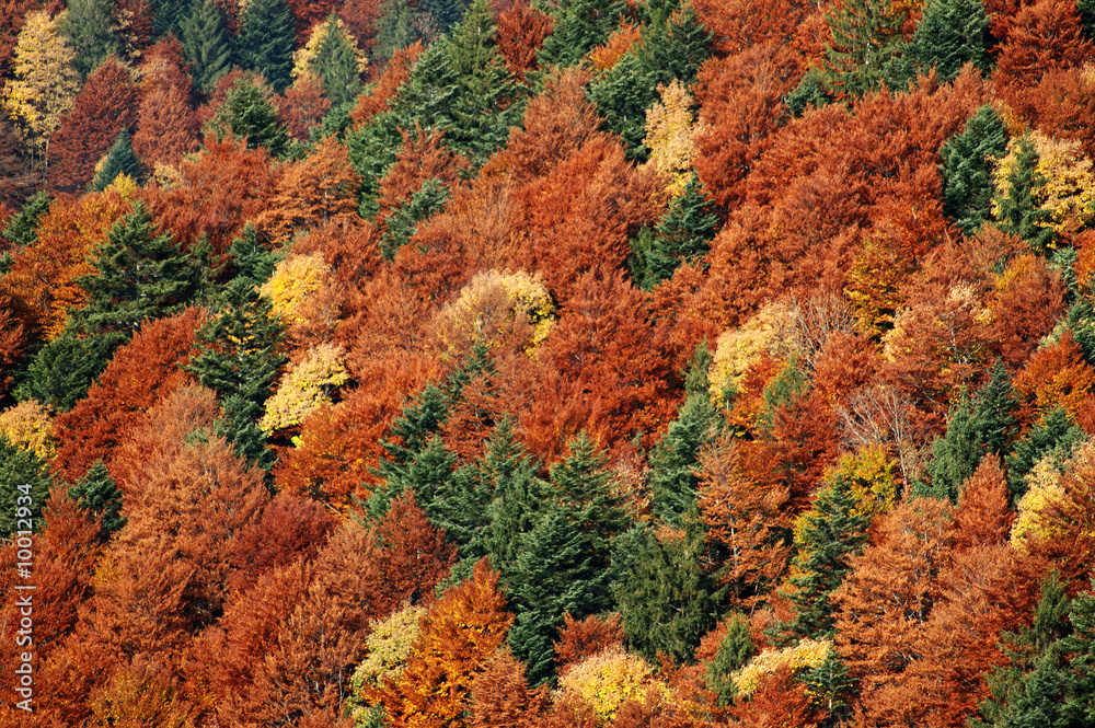 Herbst