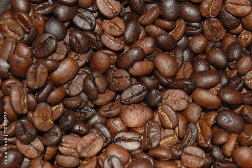 Coffee Bean Background Coffee Bean Background