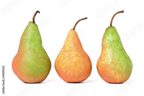 Tree pears. Isolated