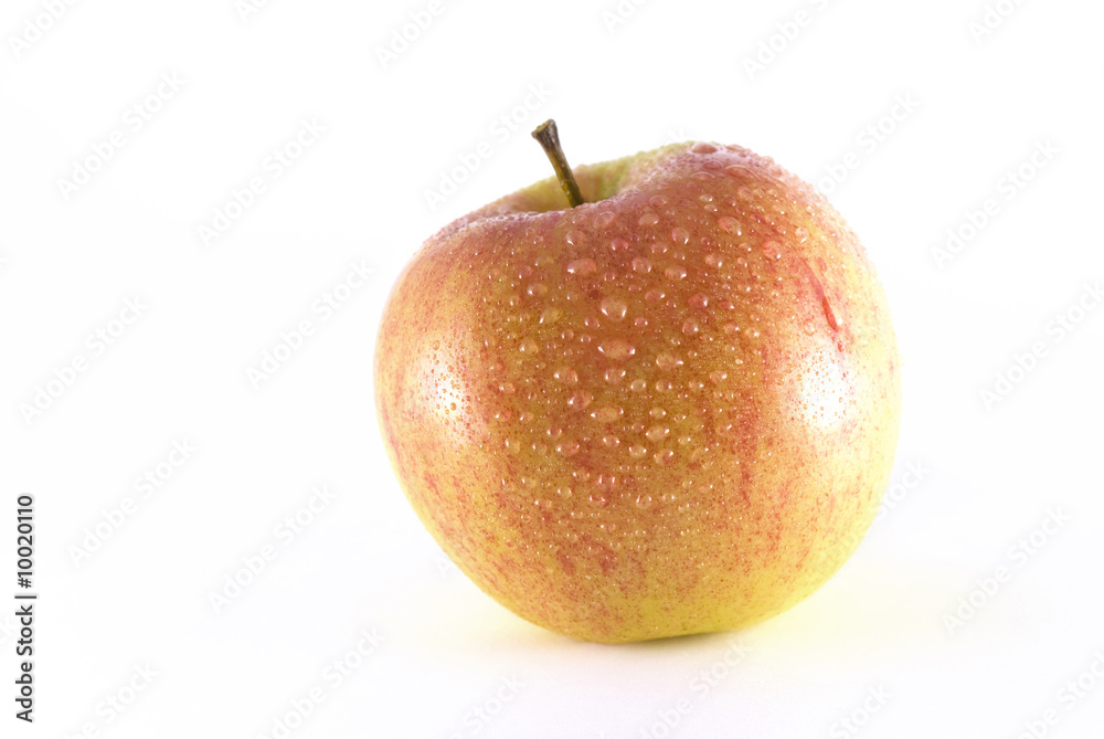 Apple on white Apple on white