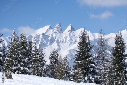 paysage de neige