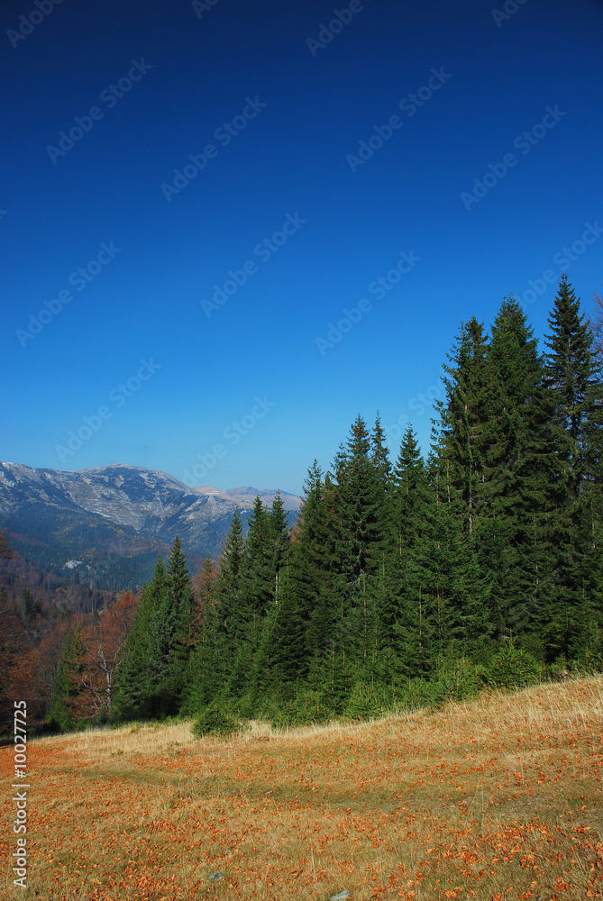Romanian landscape