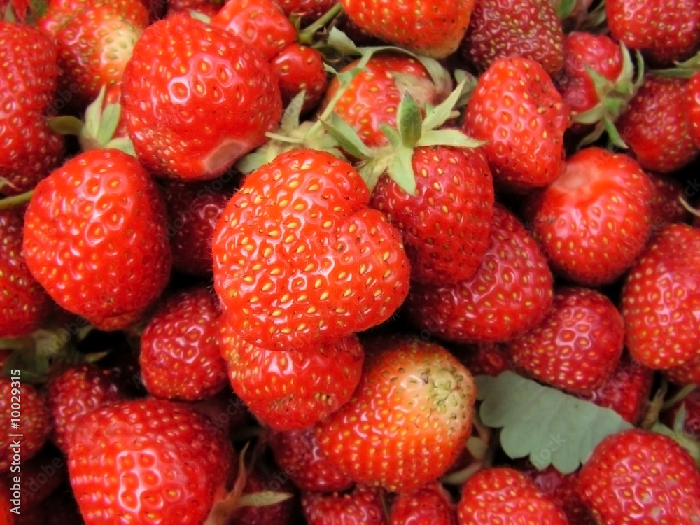 strawberry background strawberry background