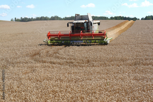 Machine harvesting the corn field