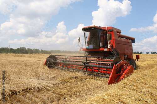 Machine harvesting the corn field