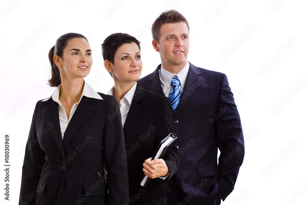 Team of happy successful business people smiling, Team of happy successful business people smiling,
