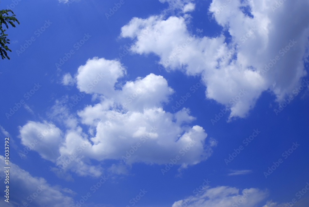 Fototapeta premium blue sky with white clouds and beautiful weather