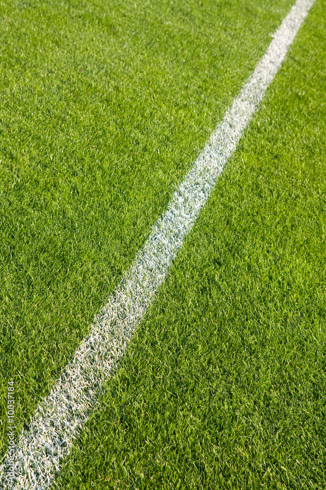 White line on the grass of sporting stadium