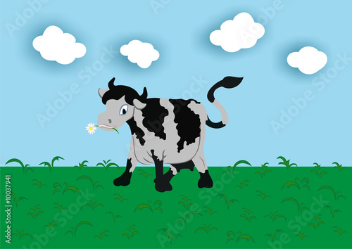 Chewing cow on a meadow