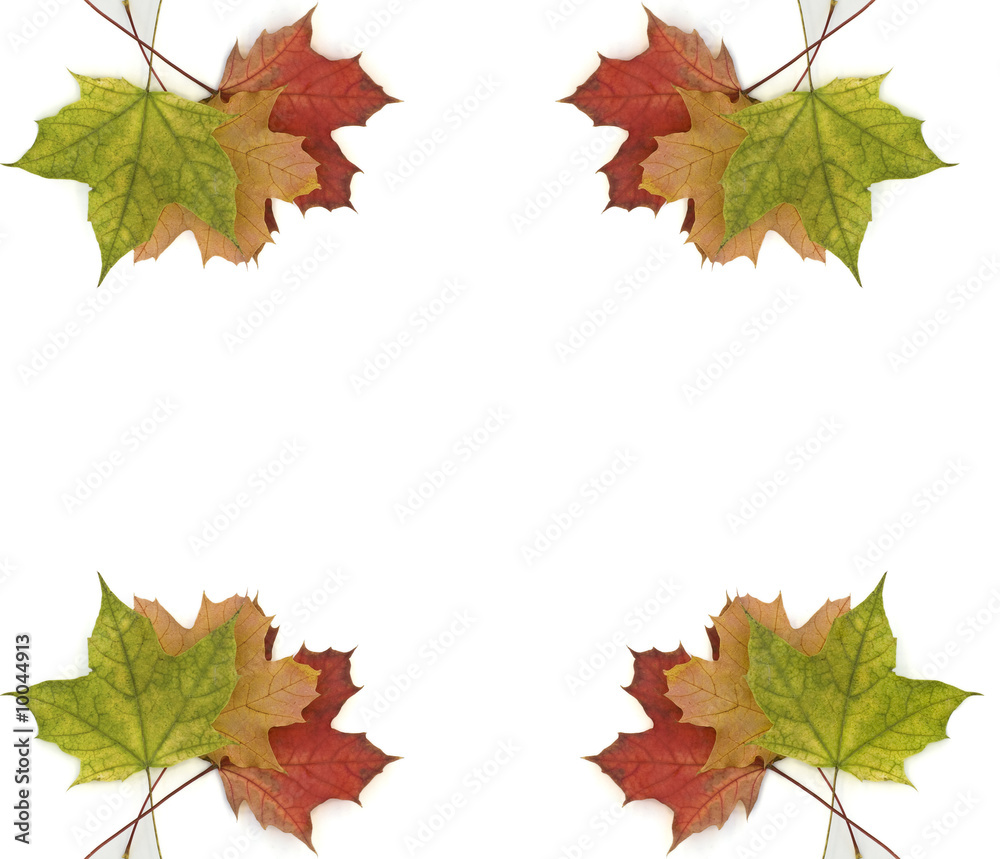 autumn autumn