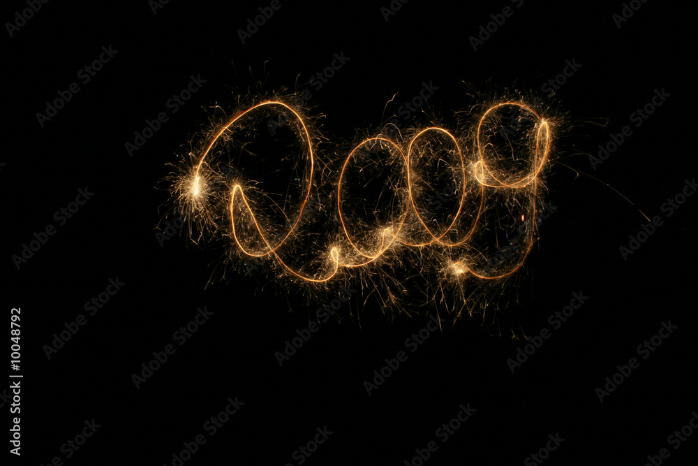 2009 2009