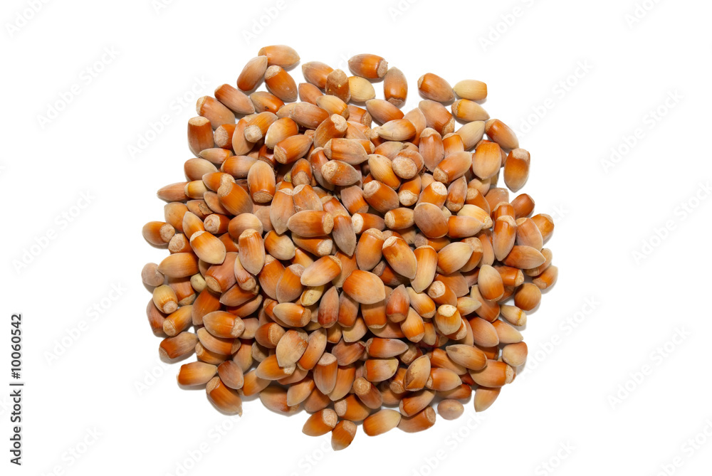 Heap of filberts isolated on white. Heap of filberts isolated on white.