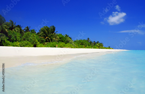 Tropical paradise in Maldives with white beach and turquoise sea