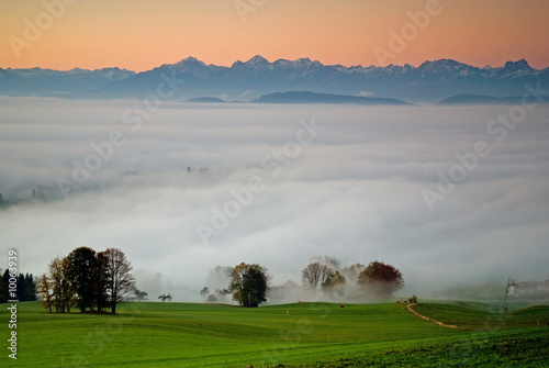 Nebellandschaft photo