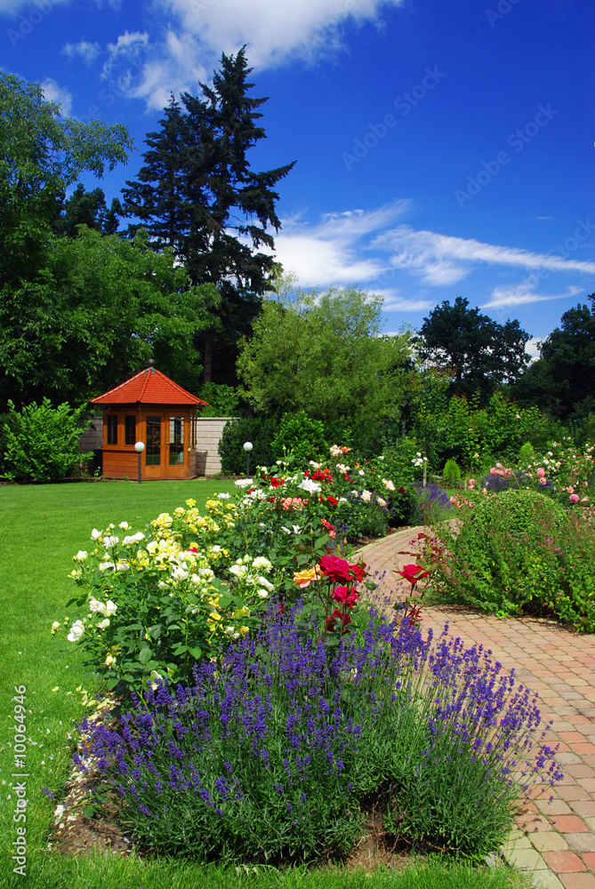 Beautiful garden with blooming roses and gazebo