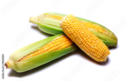 Corn cob