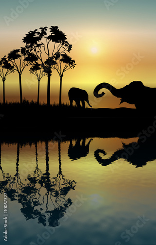Photography Elephant Reflection