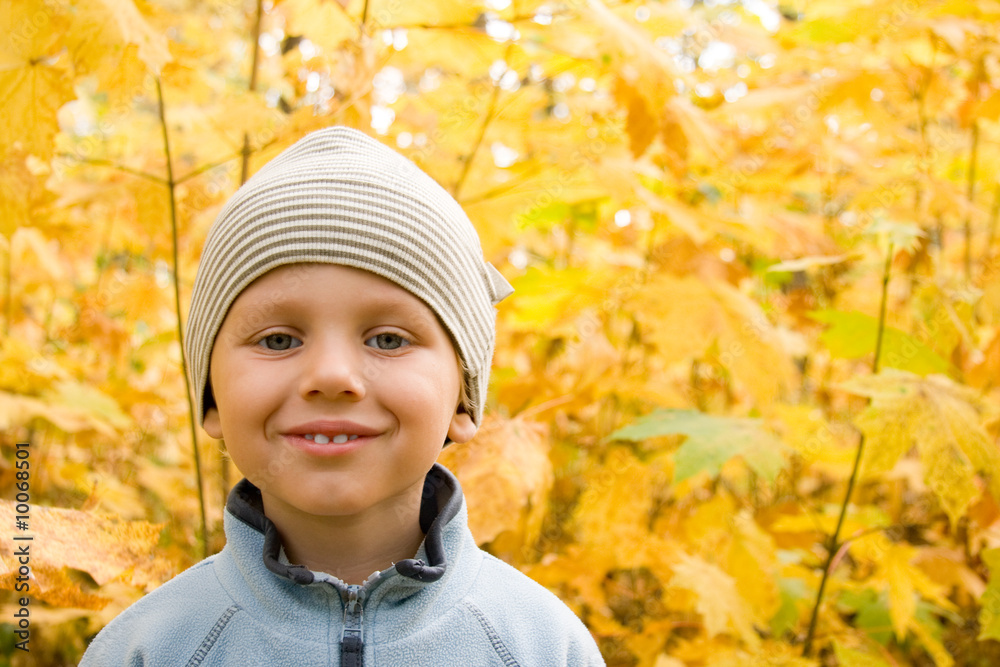 3 years old happy boy smiling in autumnal scenery 3 years old happy boy smiling in autumnal scenery
