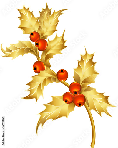 gold holly