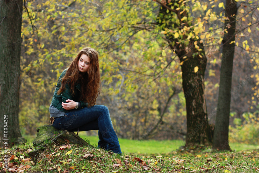 in the forest
