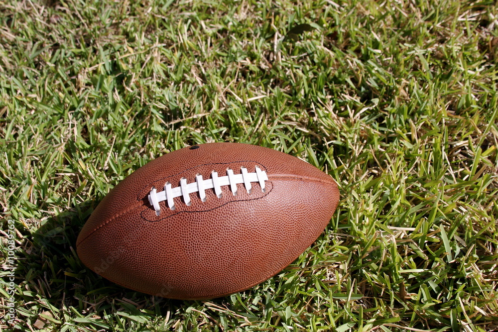 American football on grass with room for copy American football on grass with room for copy