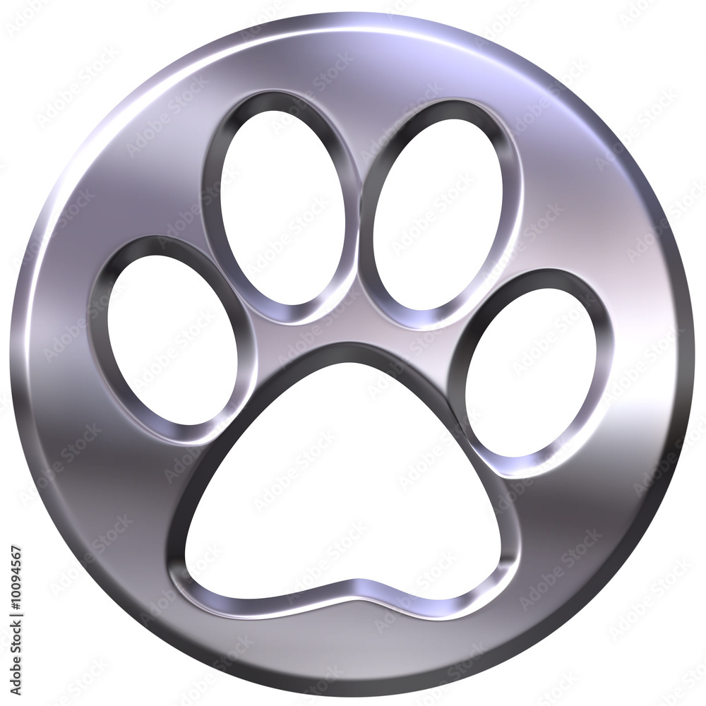 3d silver framed cat print isolated in white 3d silver framed cat print isolated in white