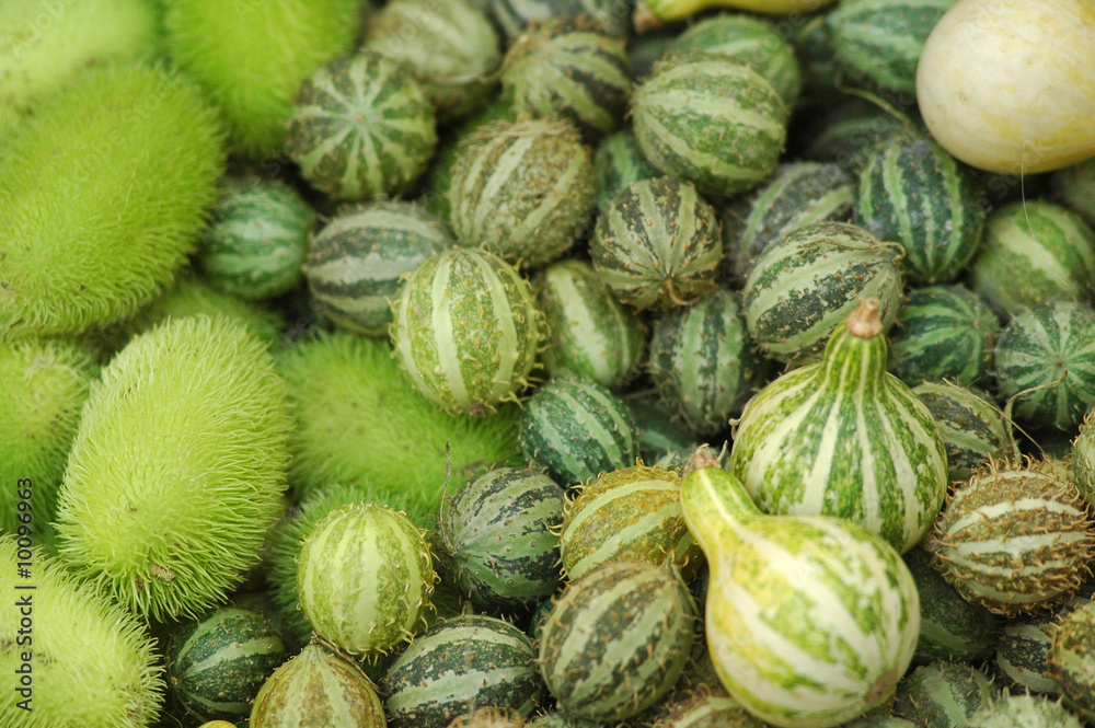 Green pumpkins Green pumpkins