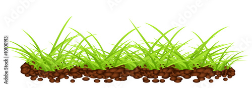 Green grass