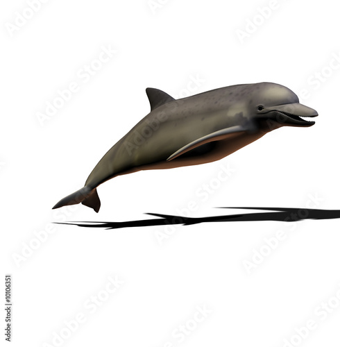 3D dolphin