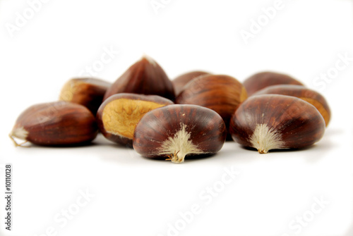 castagne photo