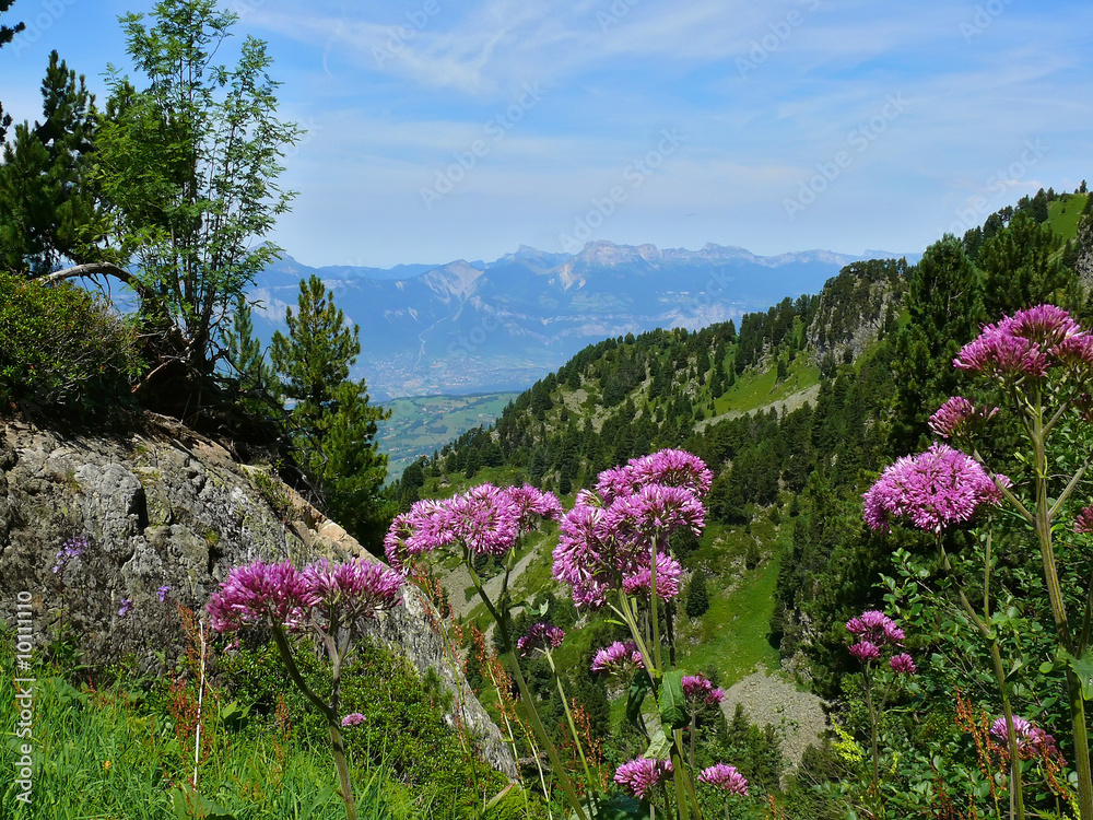 Obraz premium hauteur de chamrousse