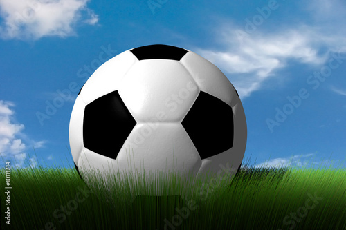 Soccer Ball in the grass © Terry Morris