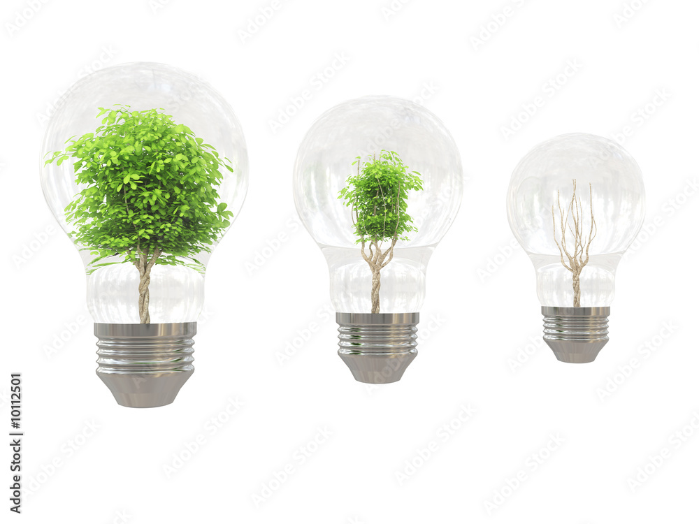 Tree in bulb on white background Tree in bulb on white background