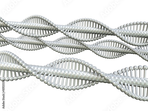 DNA photo
